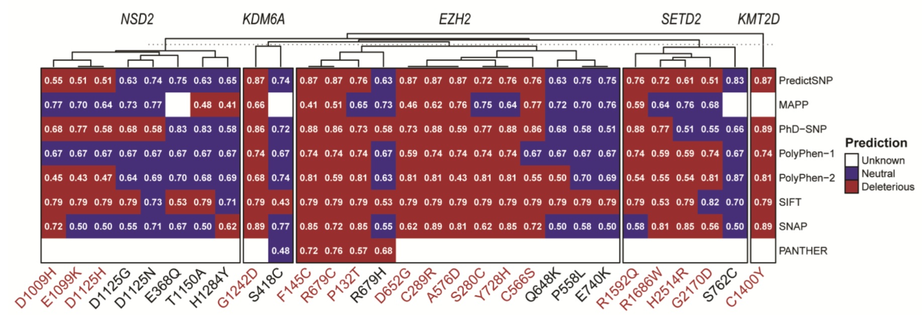 Our Research Group Publishes New Study on Epigenetic Mechanisms in Pediatric Leukemia